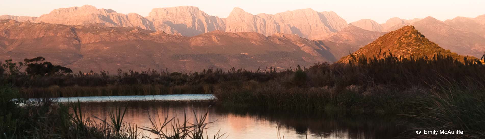 Emily McAuliffe south AFrica winelands.jpg